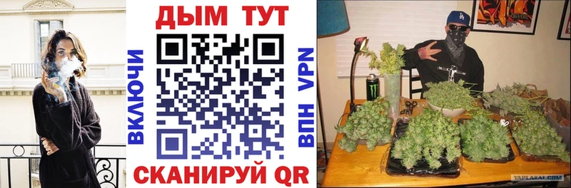 МАРИХУАНА ГИДРОПОН  Киселёвск 